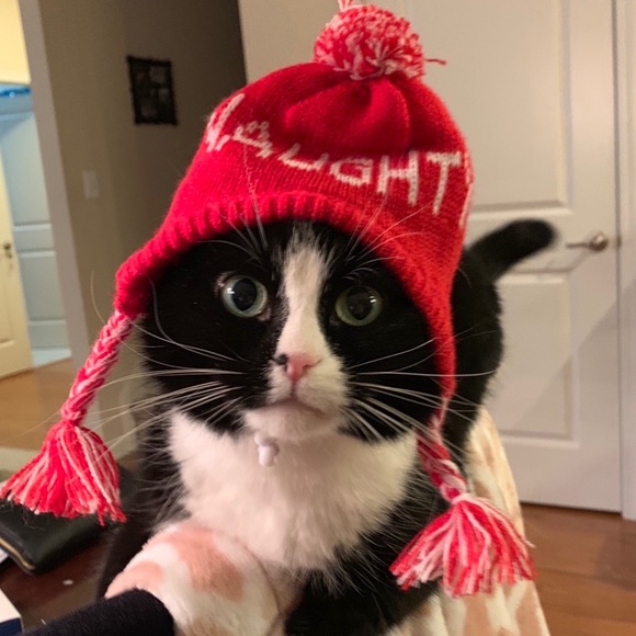 Meet your Posher, Jill - Picture 6 of 8